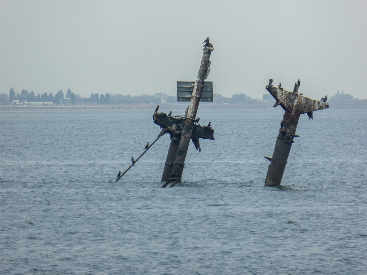 SS Montgomery - in the news - how Insurer of State responds