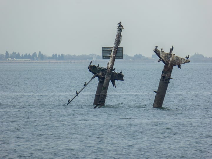 SS Montgomery - in the news - how Insurer of State responds